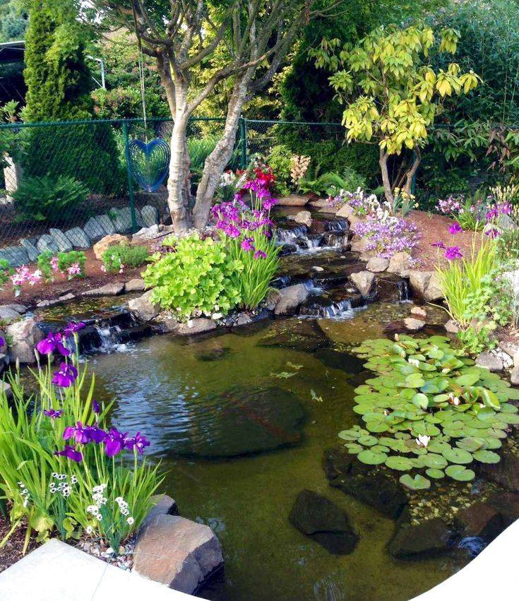Patio Pond Raised Ideas Garden