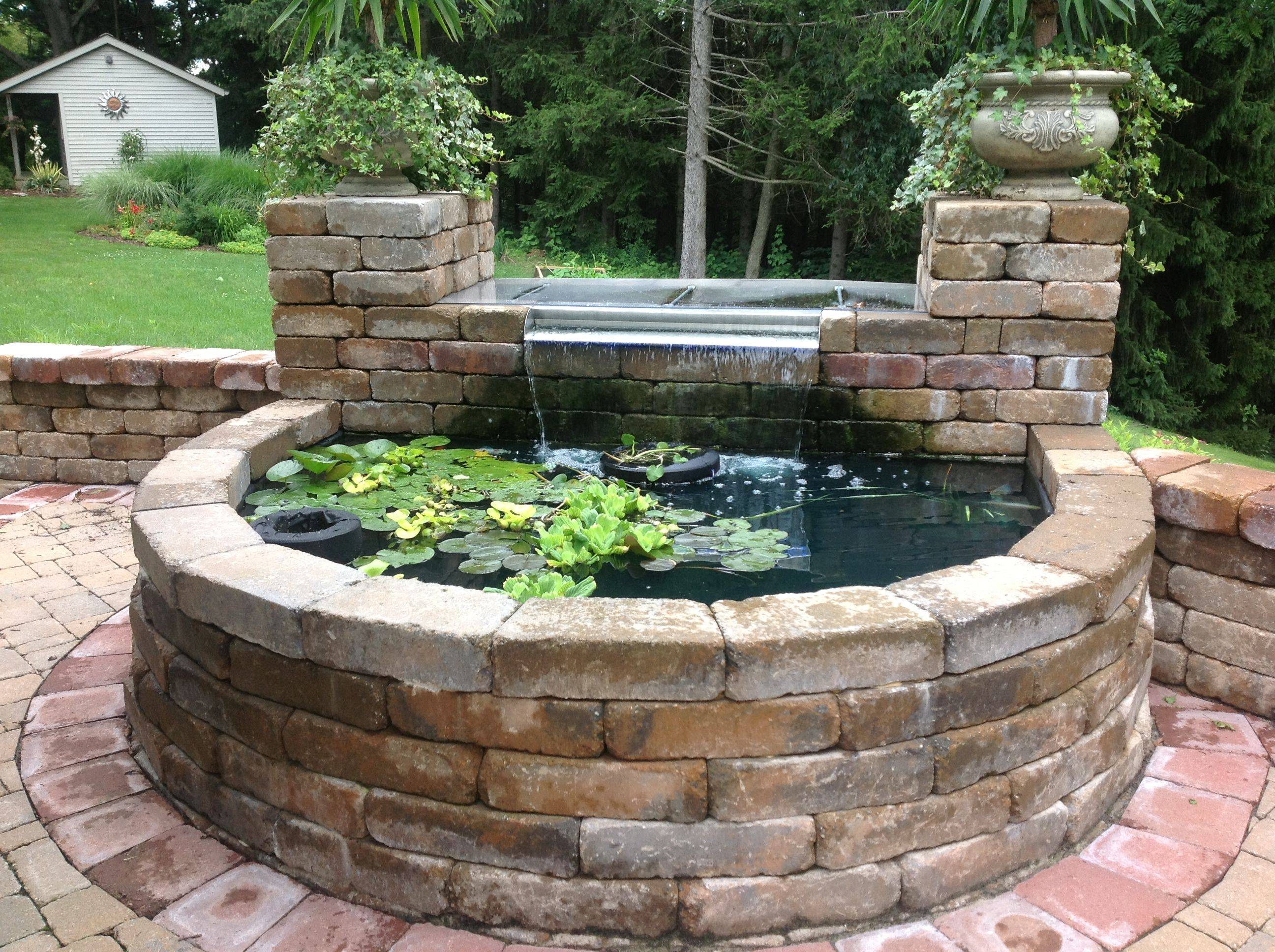Ground Patio Pond Backyard Summer Small Fish