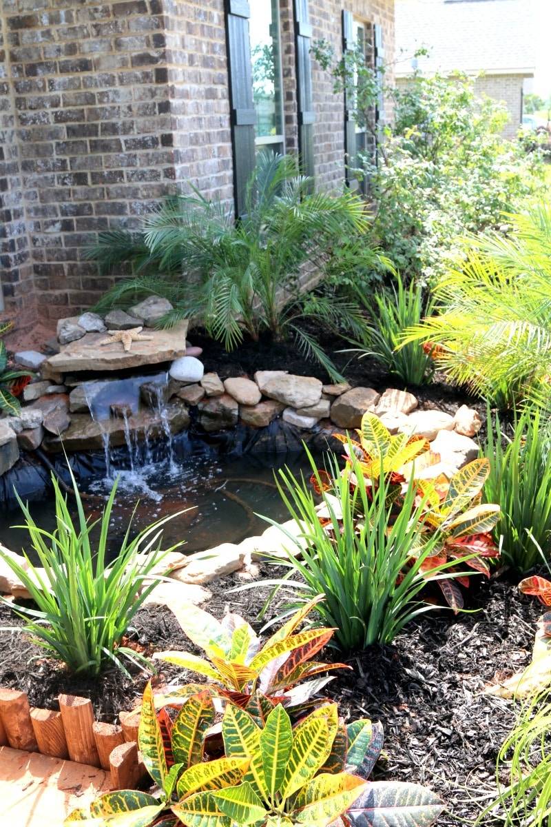 Diy Pond Ideas