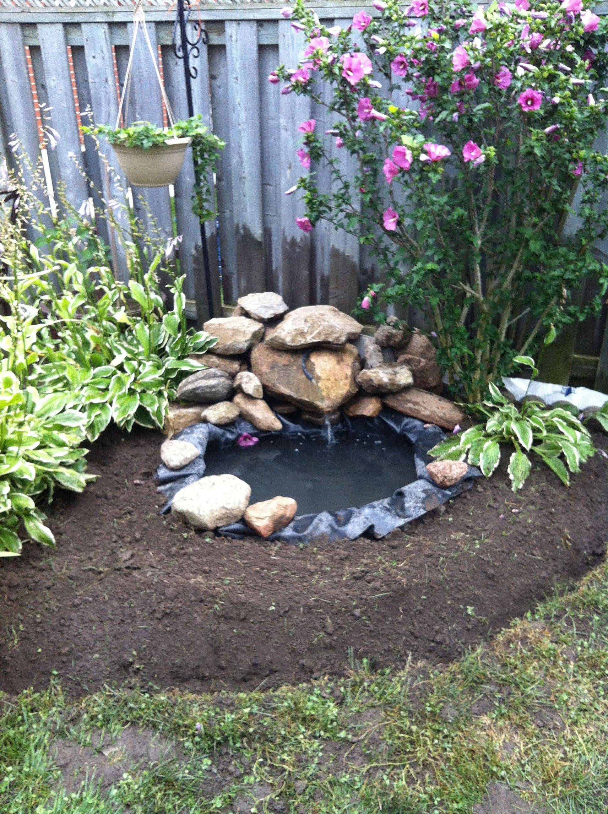 Lovely Diy Ponds