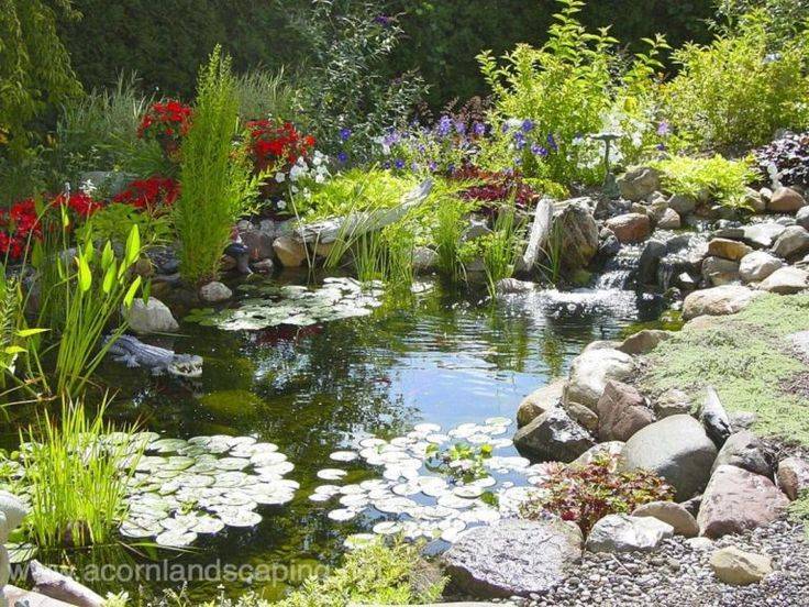 Lovely Diy Ponds