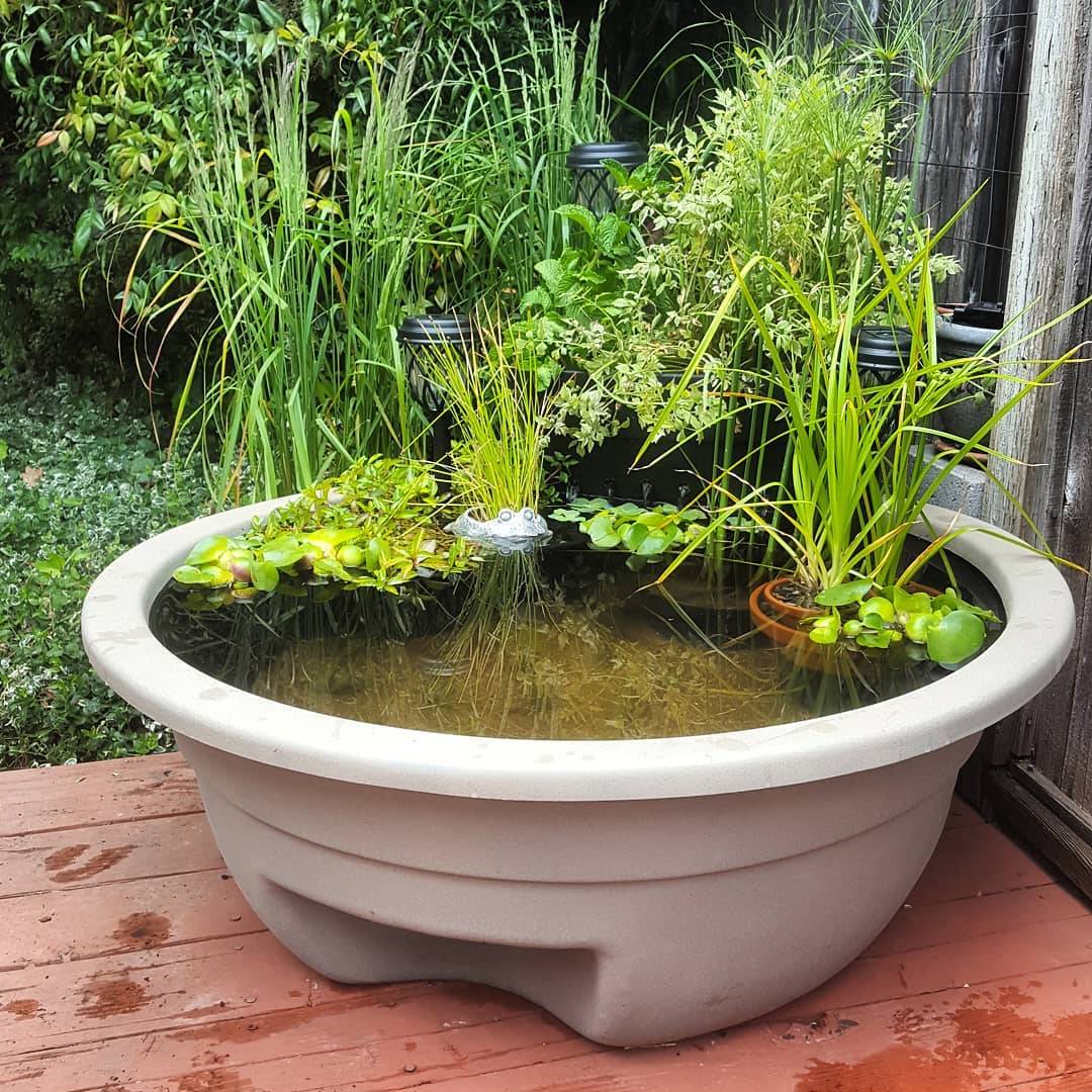 Small Diy Garden Pond