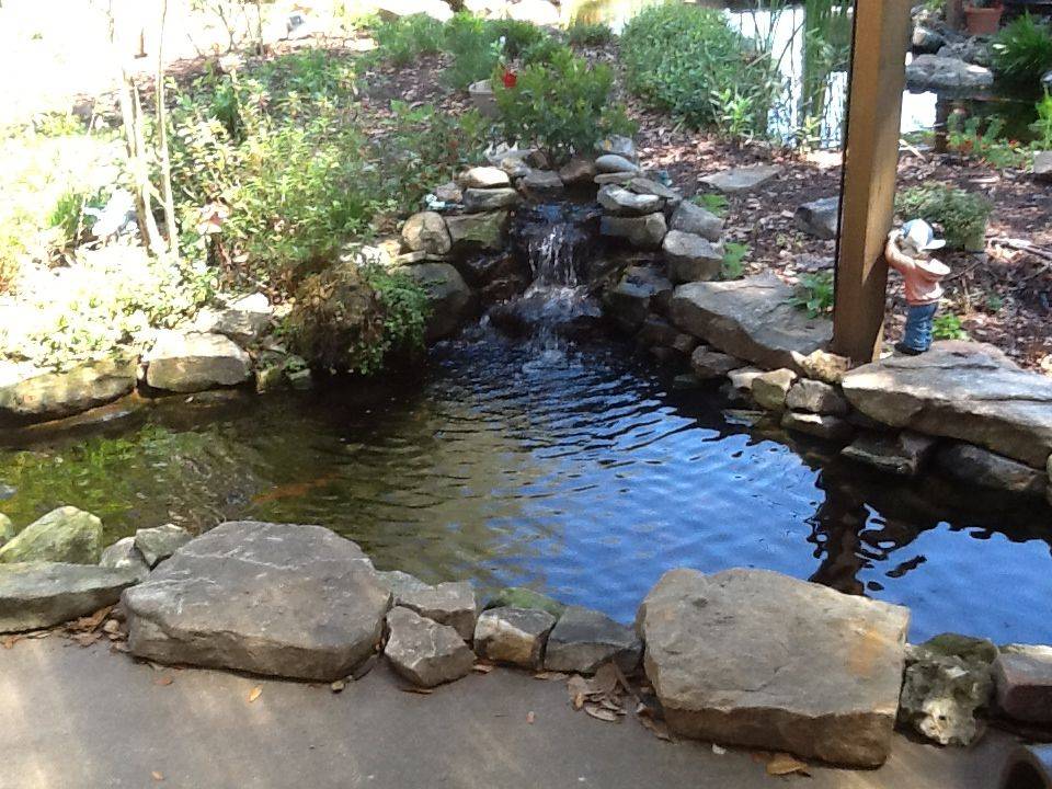 Backyard Pond Ideas
