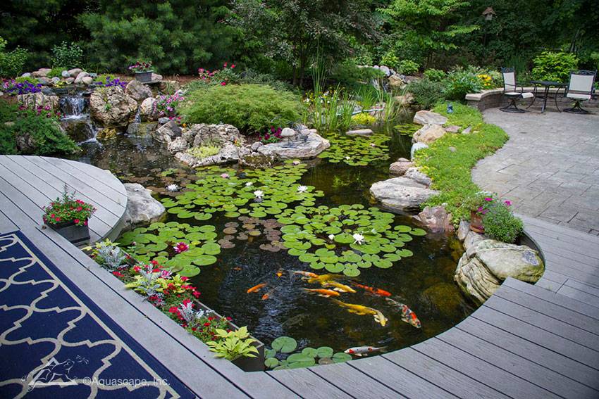 Four Pond Edging Design Ideas Garden Ponds
