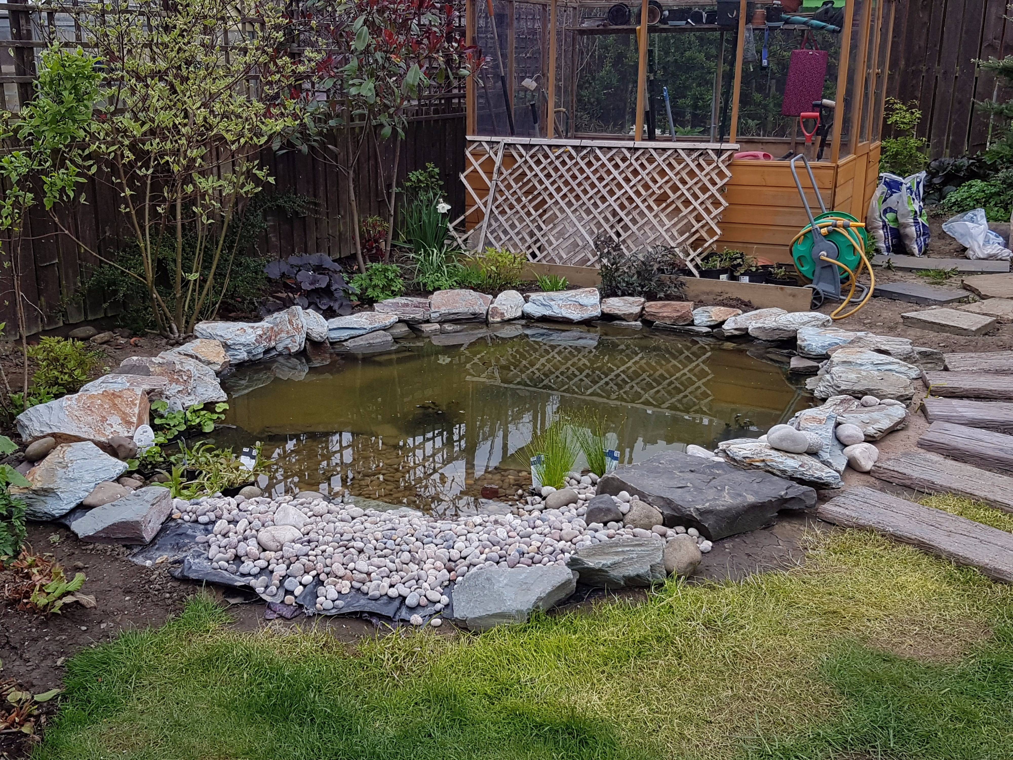 A Pond