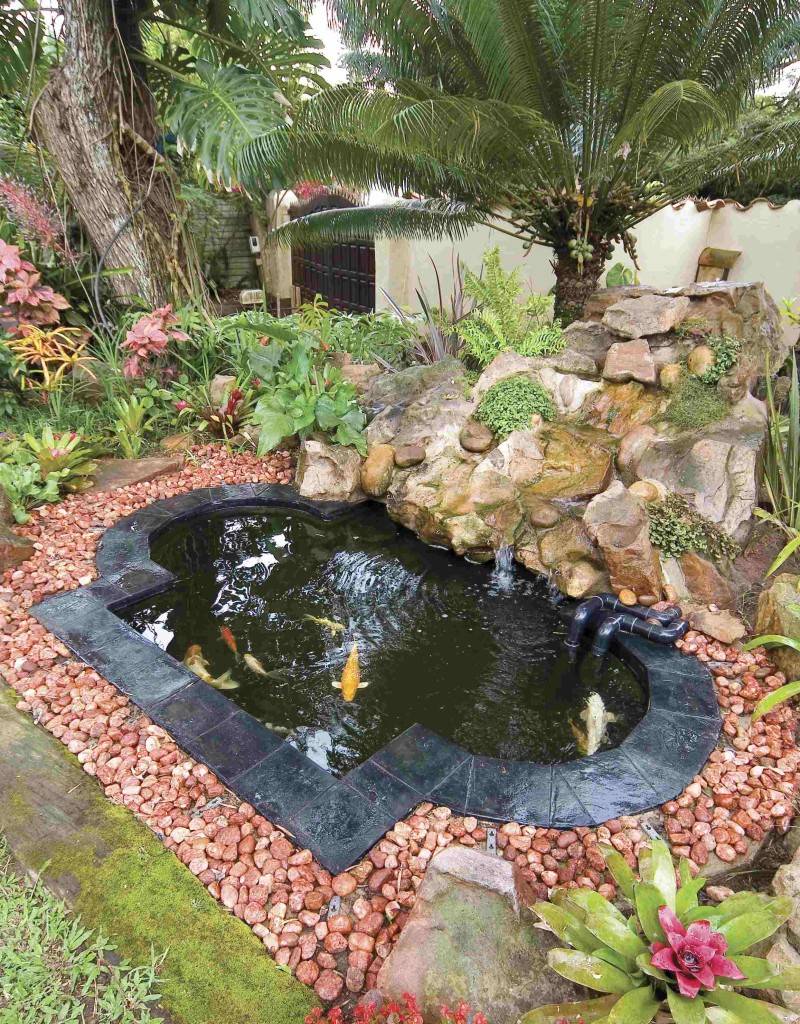 Ground Patio Pond Backyard Summer Small Fish