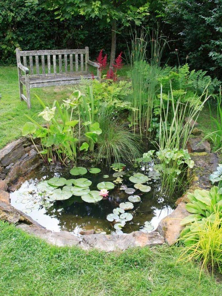 Patio Pond Backyard