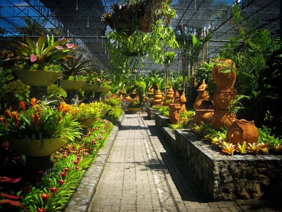 Your Own Beautiful Garden