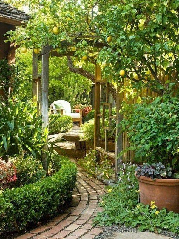 Your Own Beautiful Garden