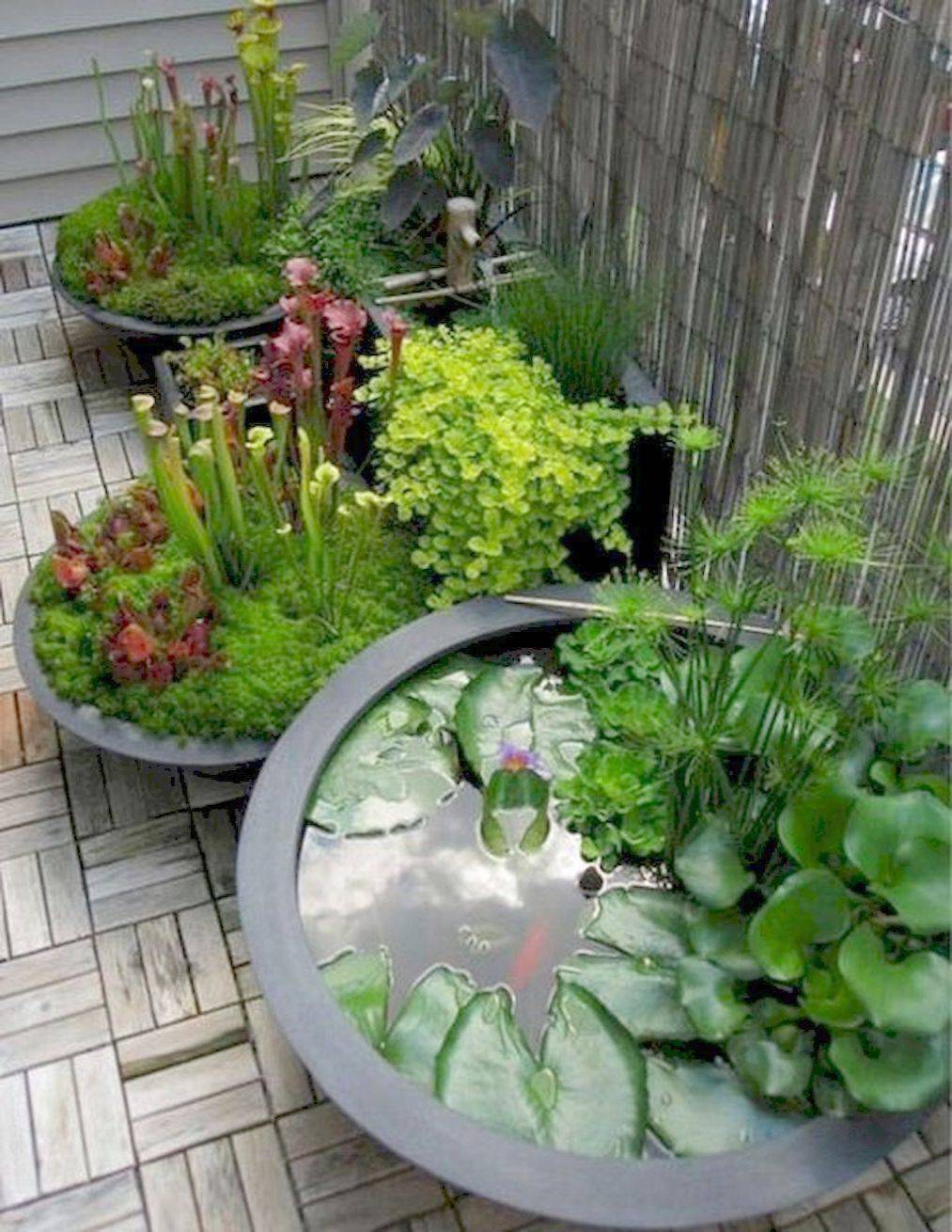 Indoor Courtyard Indoor Garden Design
