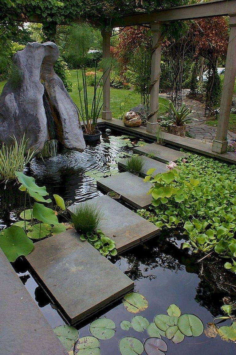 Giant Black Koi Fish