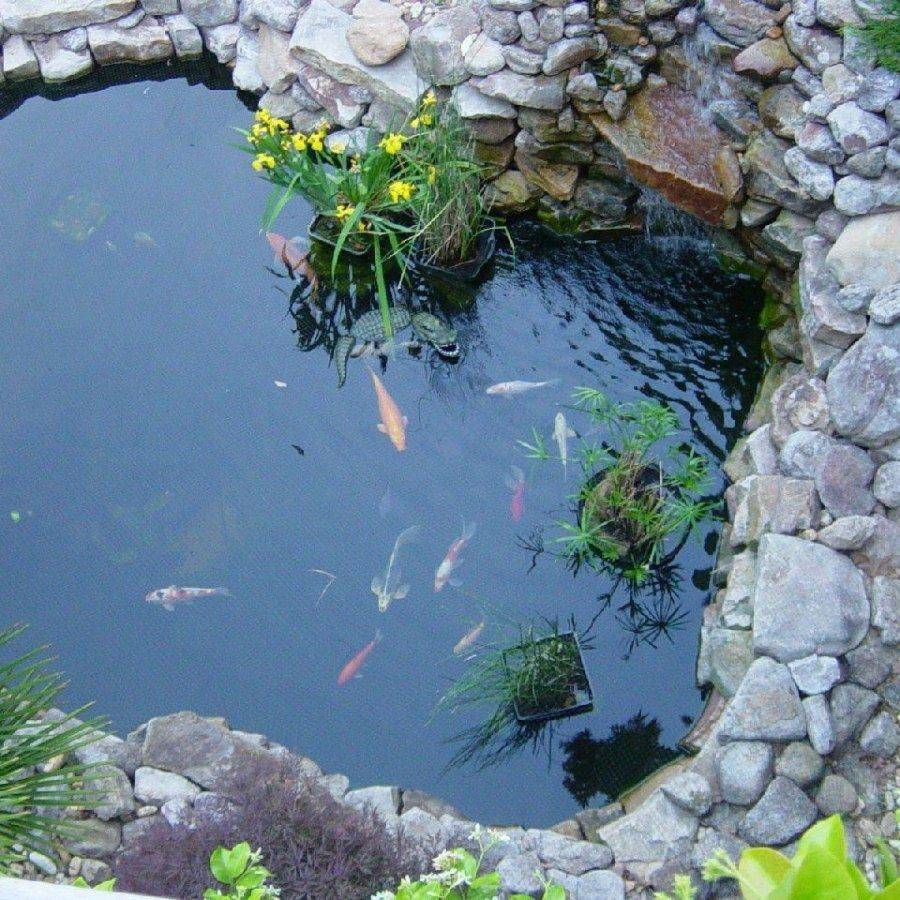 Aweinspiring Garden Ponds