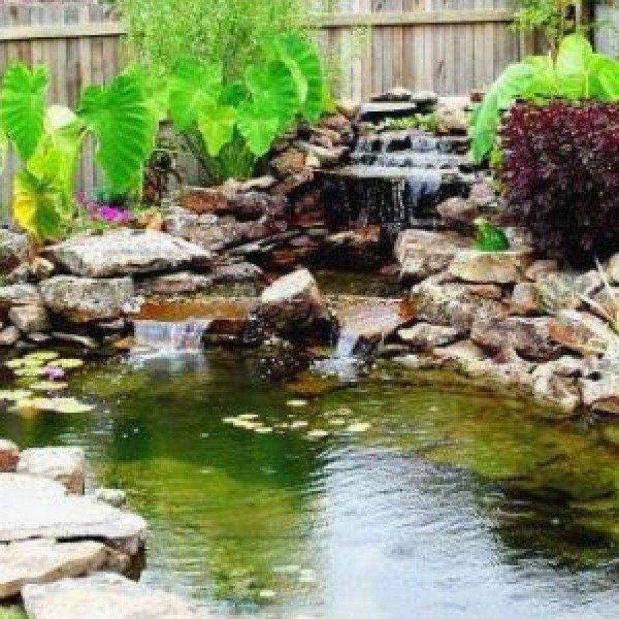 Beautiful Garden Ponds
