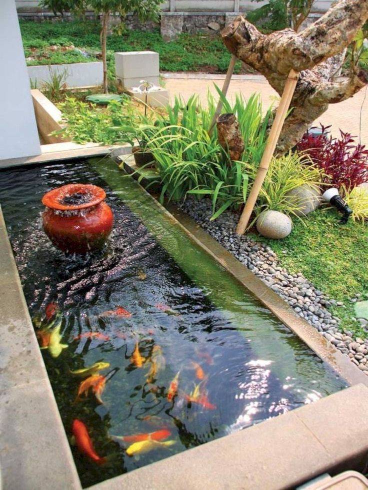 The Perfect Garden Pond
