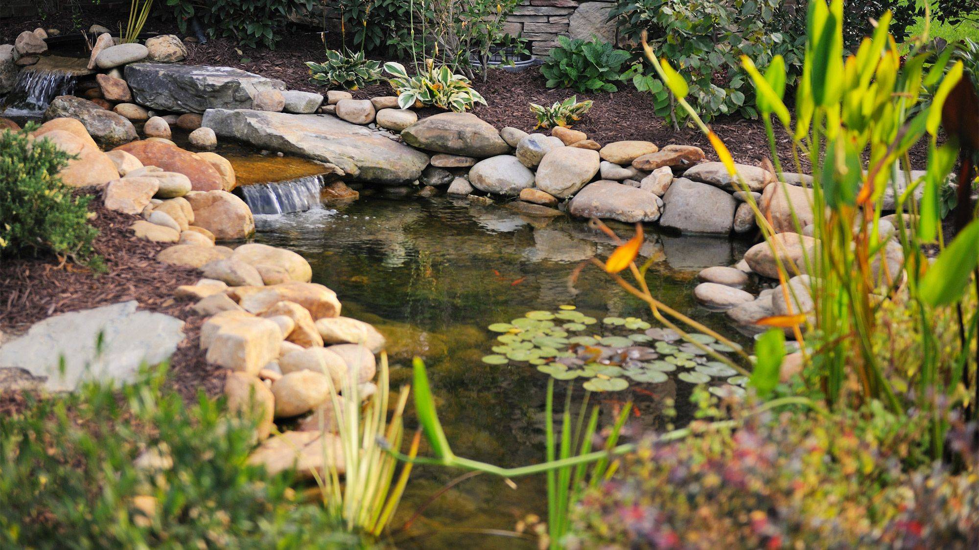 Creative Diy Koi Pond Designs