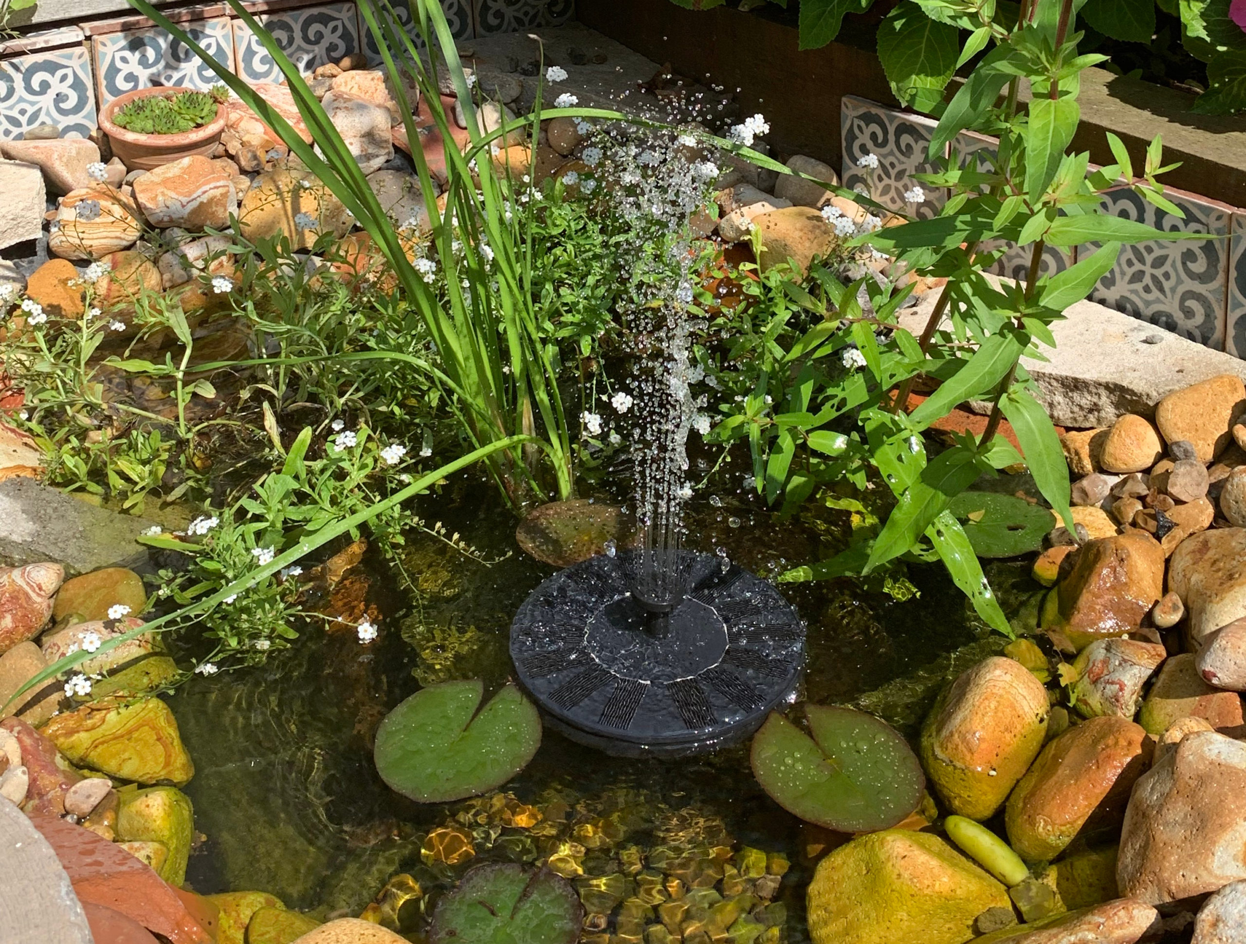 A Small Pond