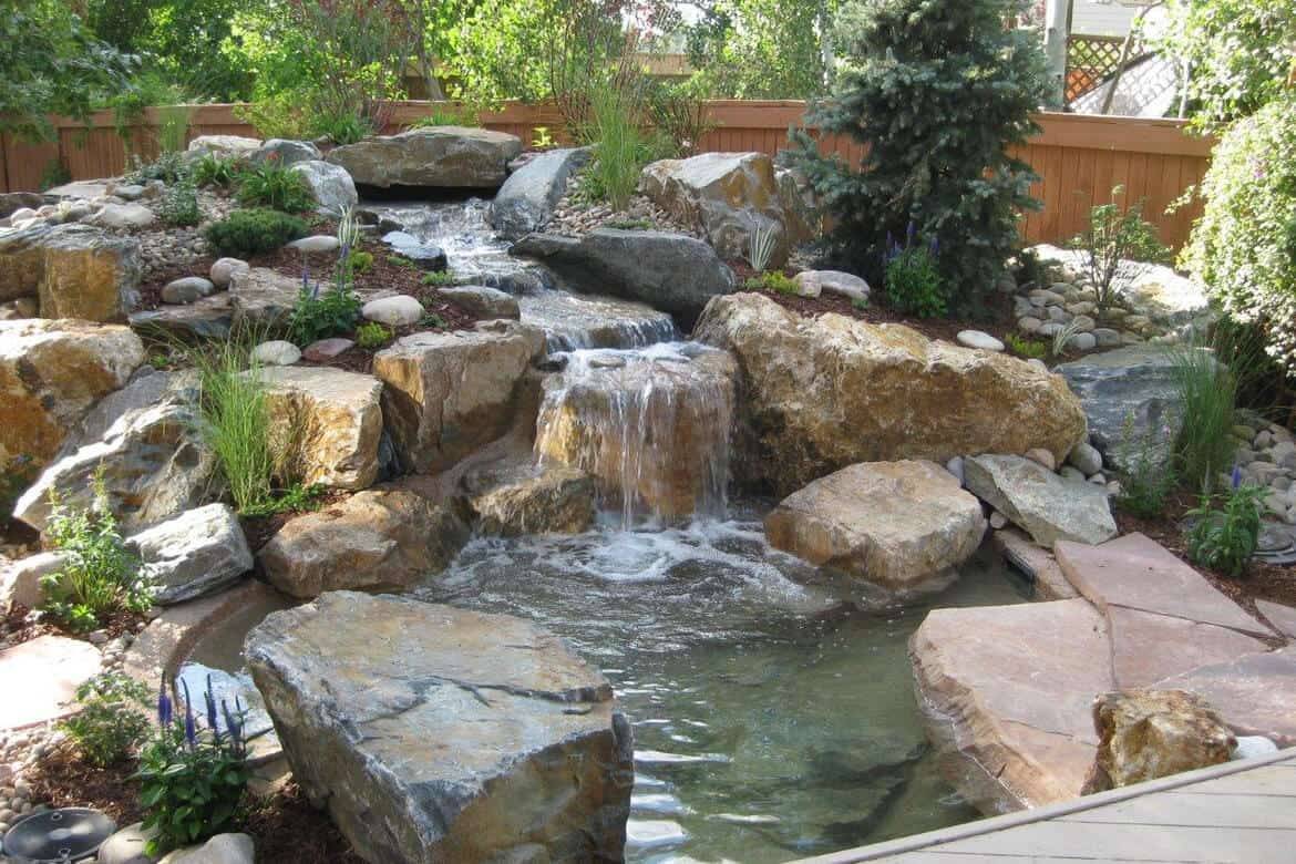 Ponds Backyard Blessings