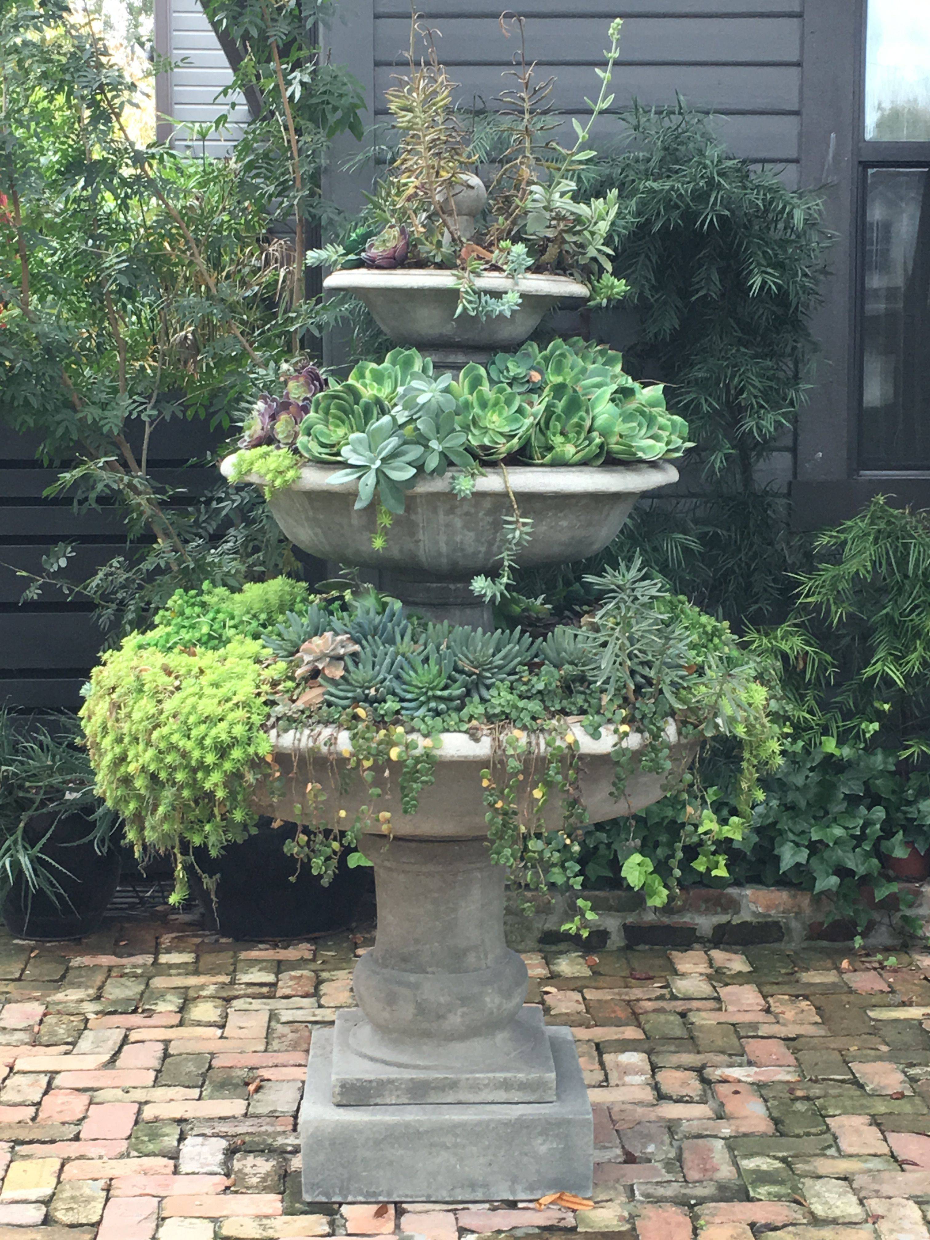 Tropical Garden Ideas