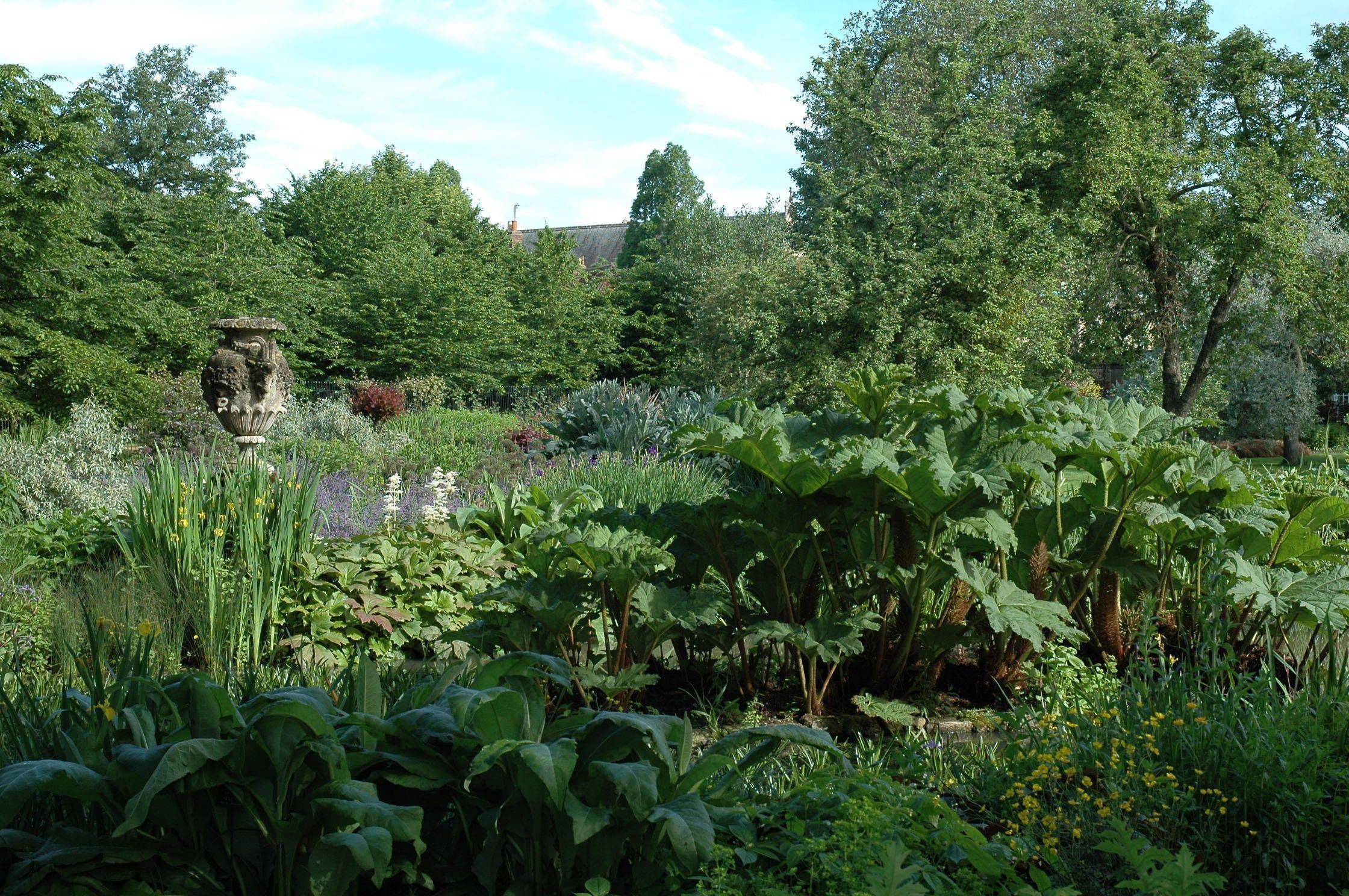 Bog Garden Backyard Landscaping