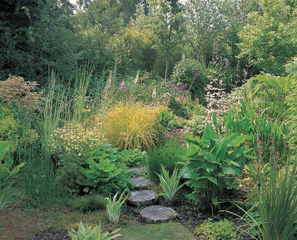 Interesting And Unusual Bog Garden