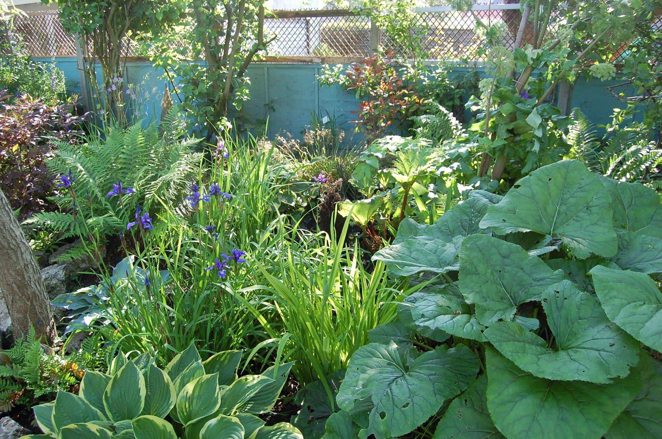 Interesting And Unusual Bog Garden