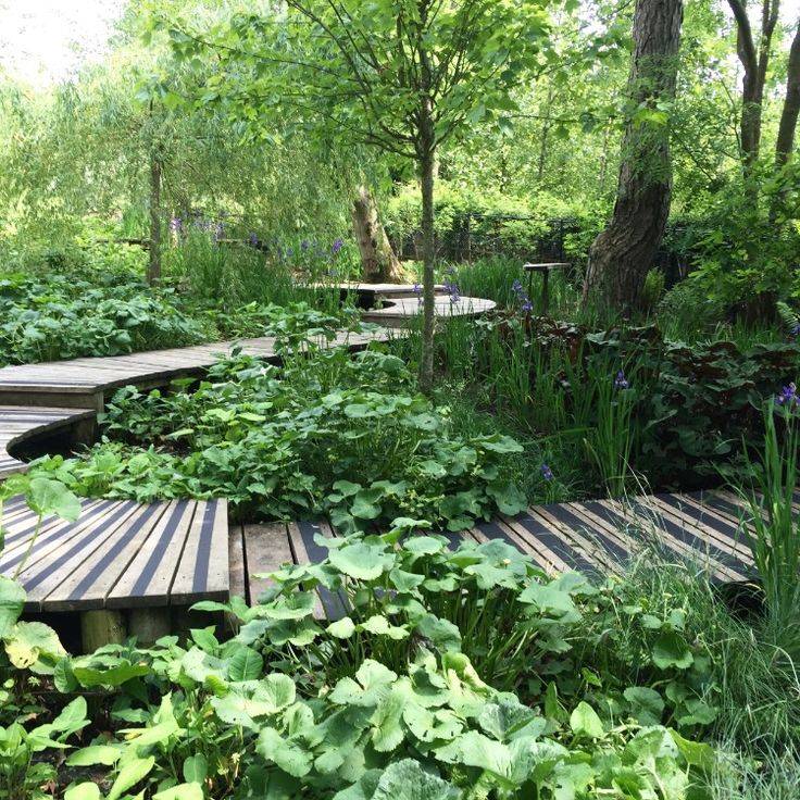 Sunnyside Nursery Bog Garden