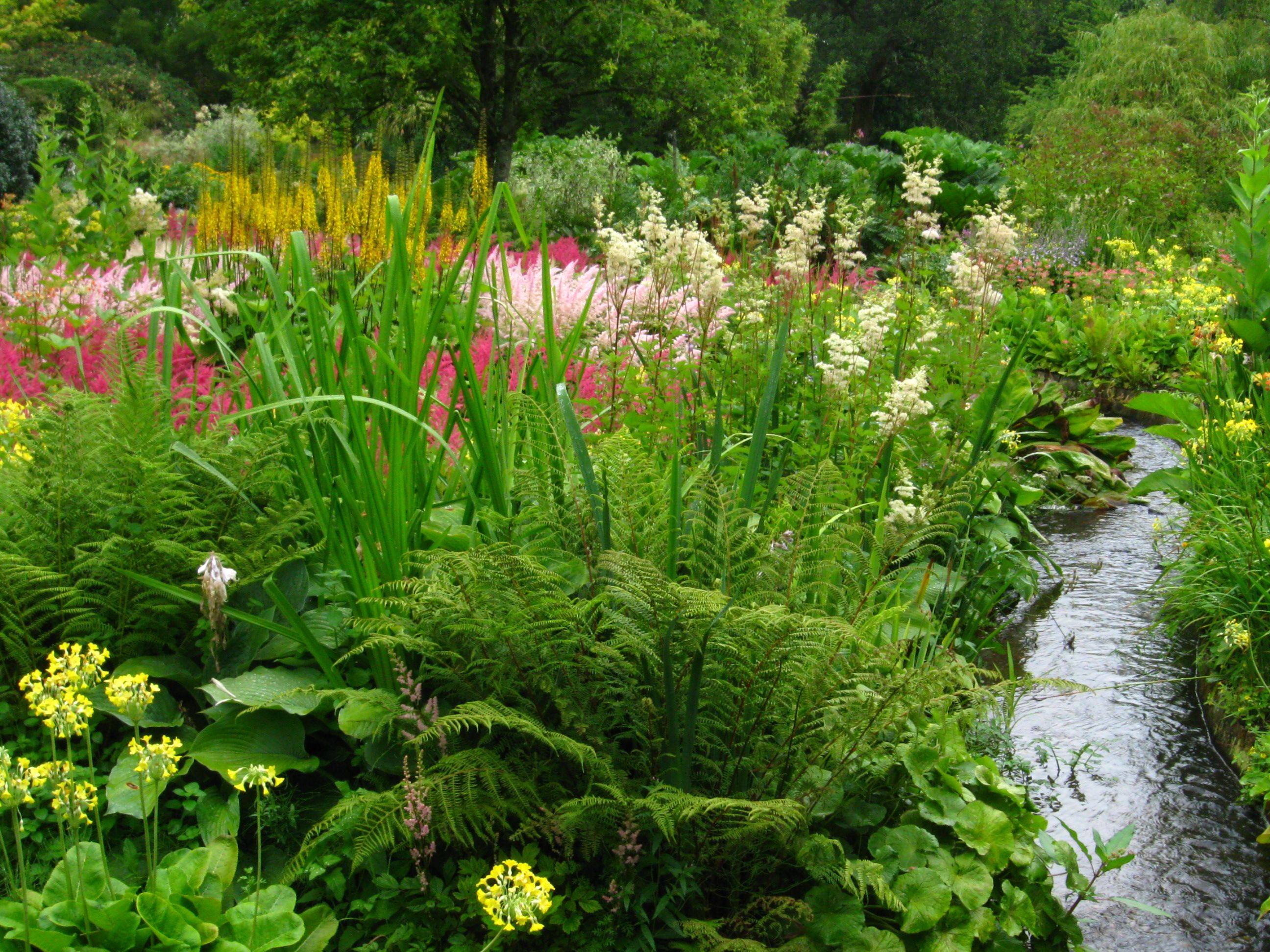 Fine Gardening