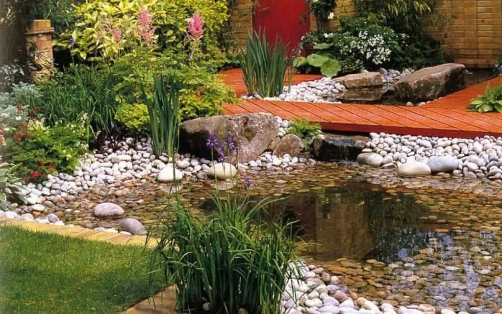 Bog Garden