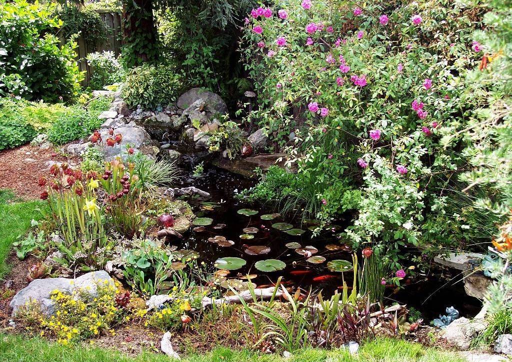 Small Water Gardens