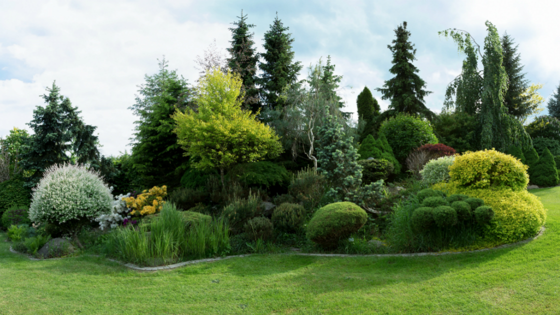 Front Yard Landscaping Ideas Landscaping