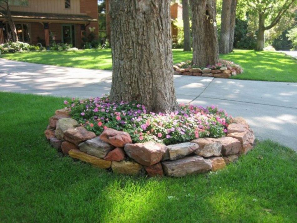 Plantslandscaping Design Garden Ideas