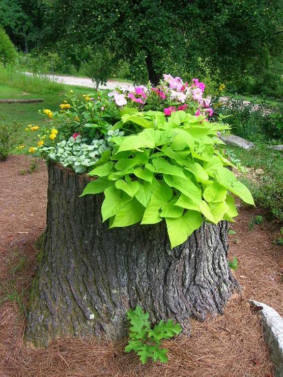 Beautiful Landscape Lighting