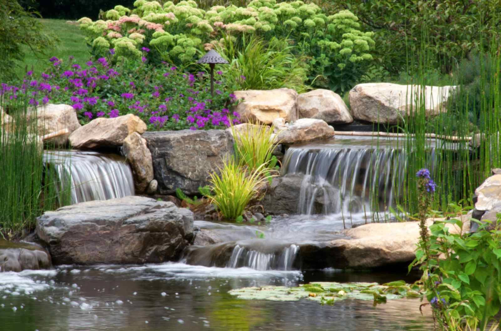 Simple Beautiful Small Pond And Water Garden