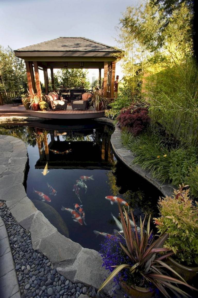 Beautiful Backyard Ponds
