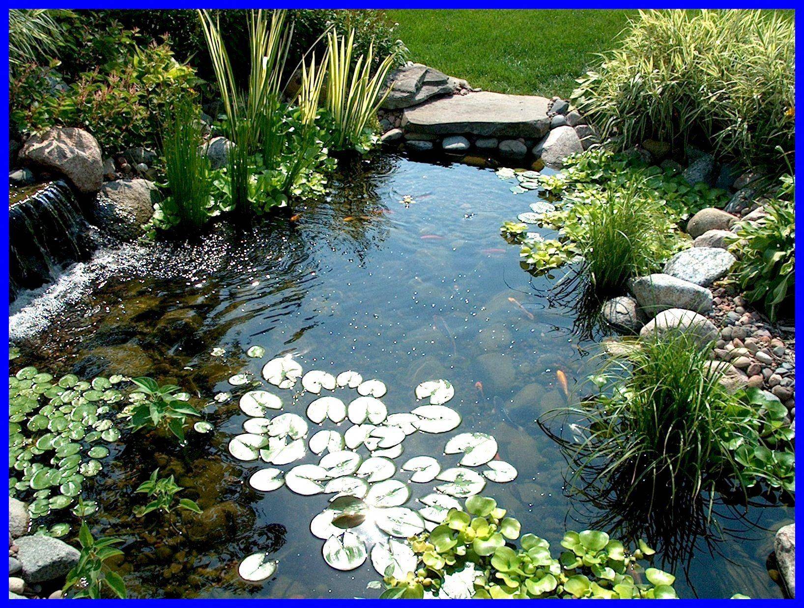 Favourite Backyard Ponds And Water Garden Landscaping Ideas