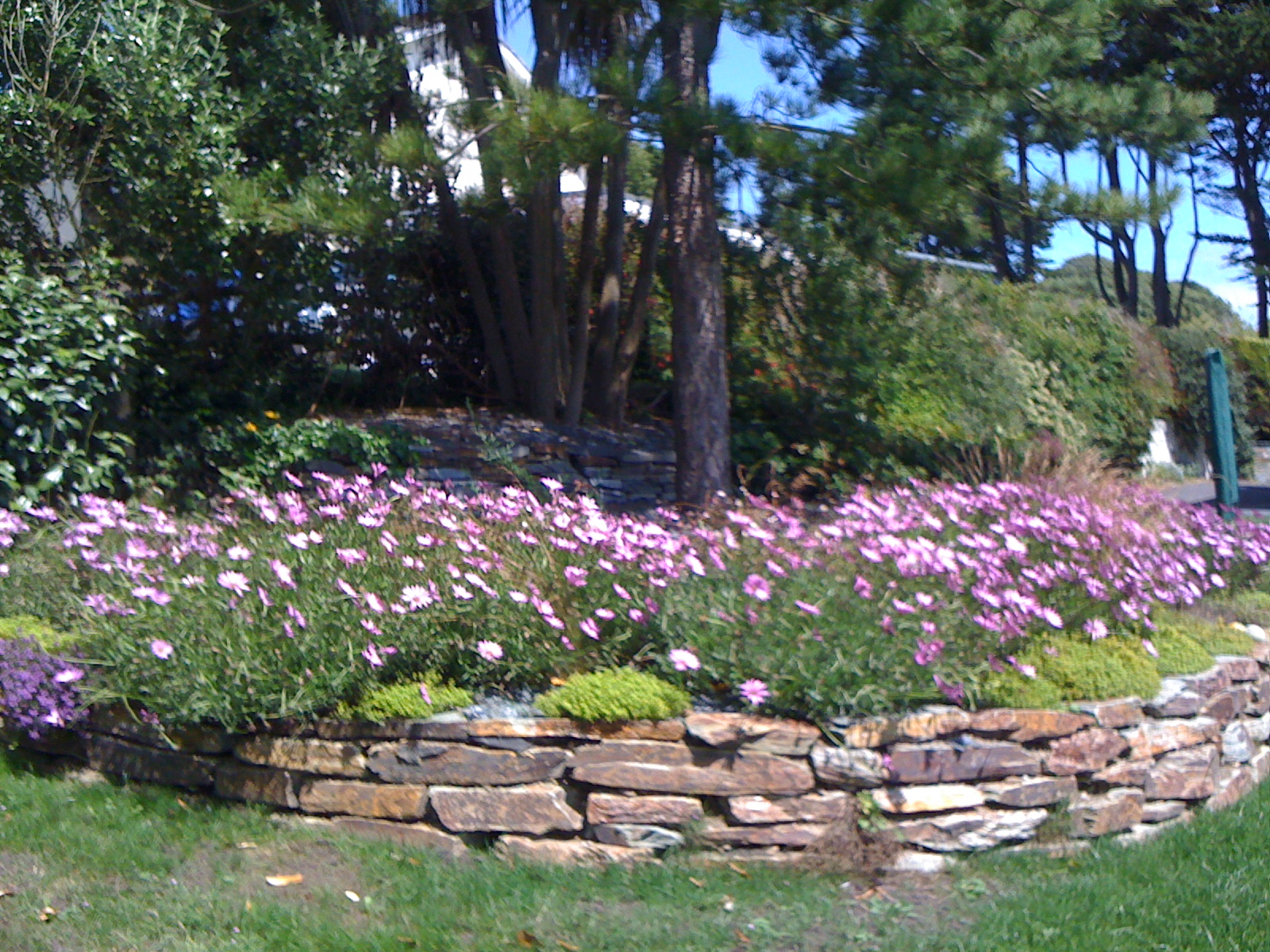 Shade Garden Design Ideas