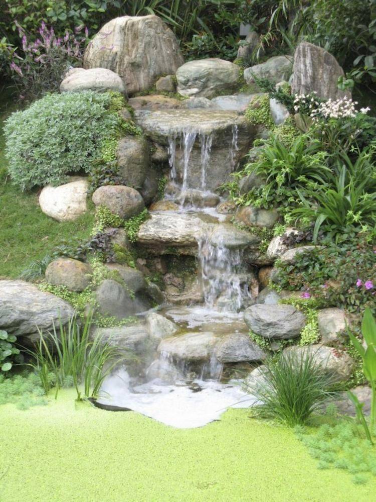Your Backyard