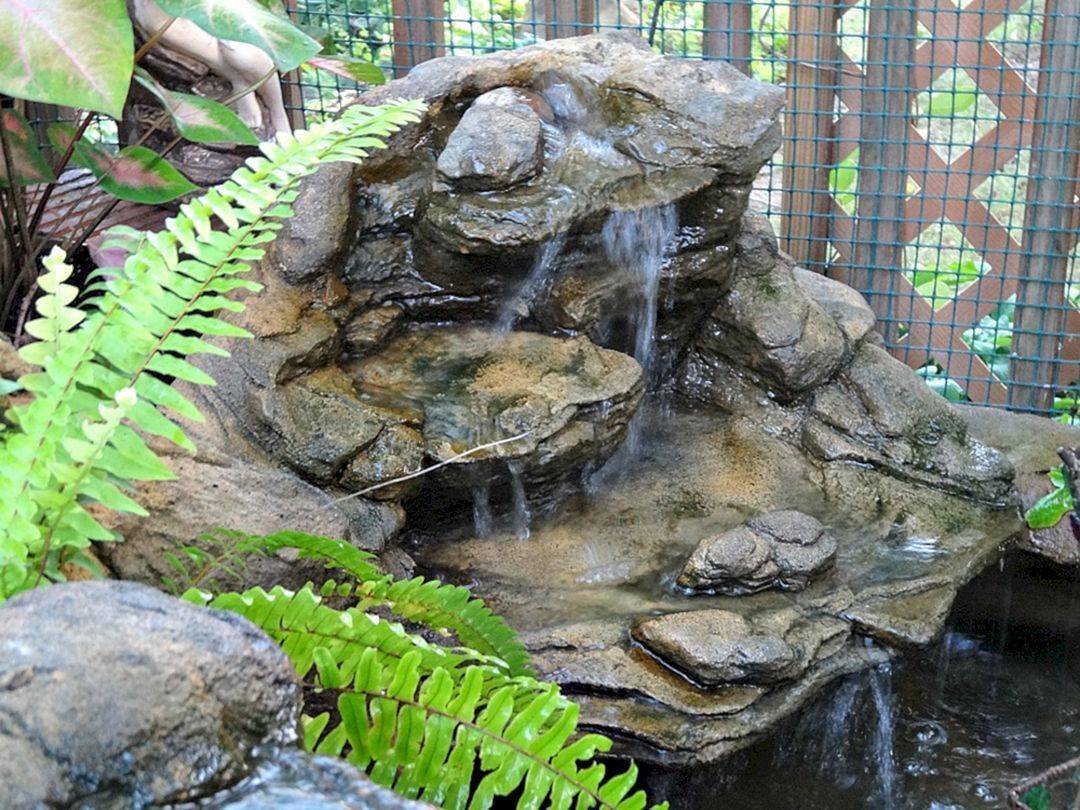 Beauty Small Backyard