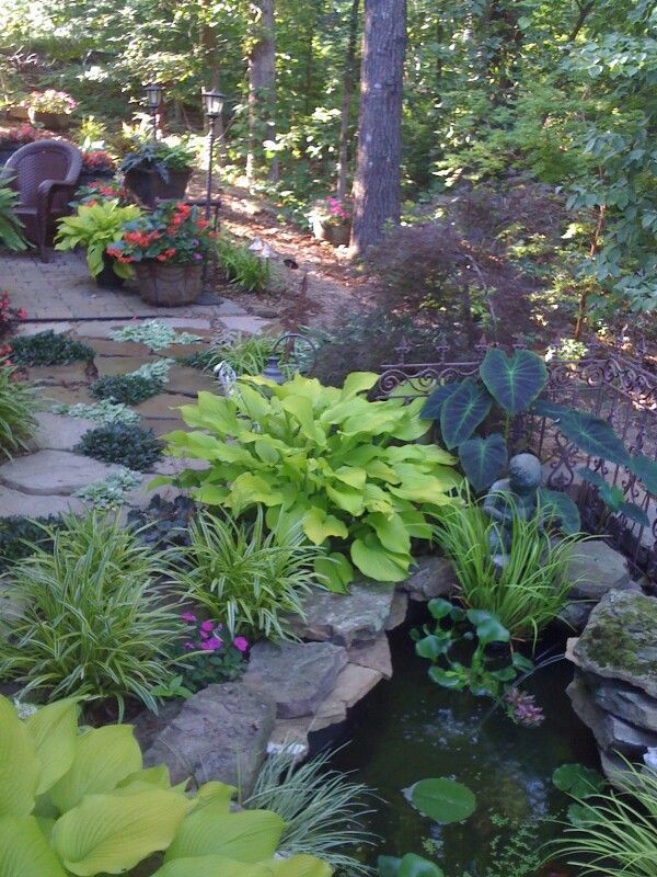 Shade Garden Ideas