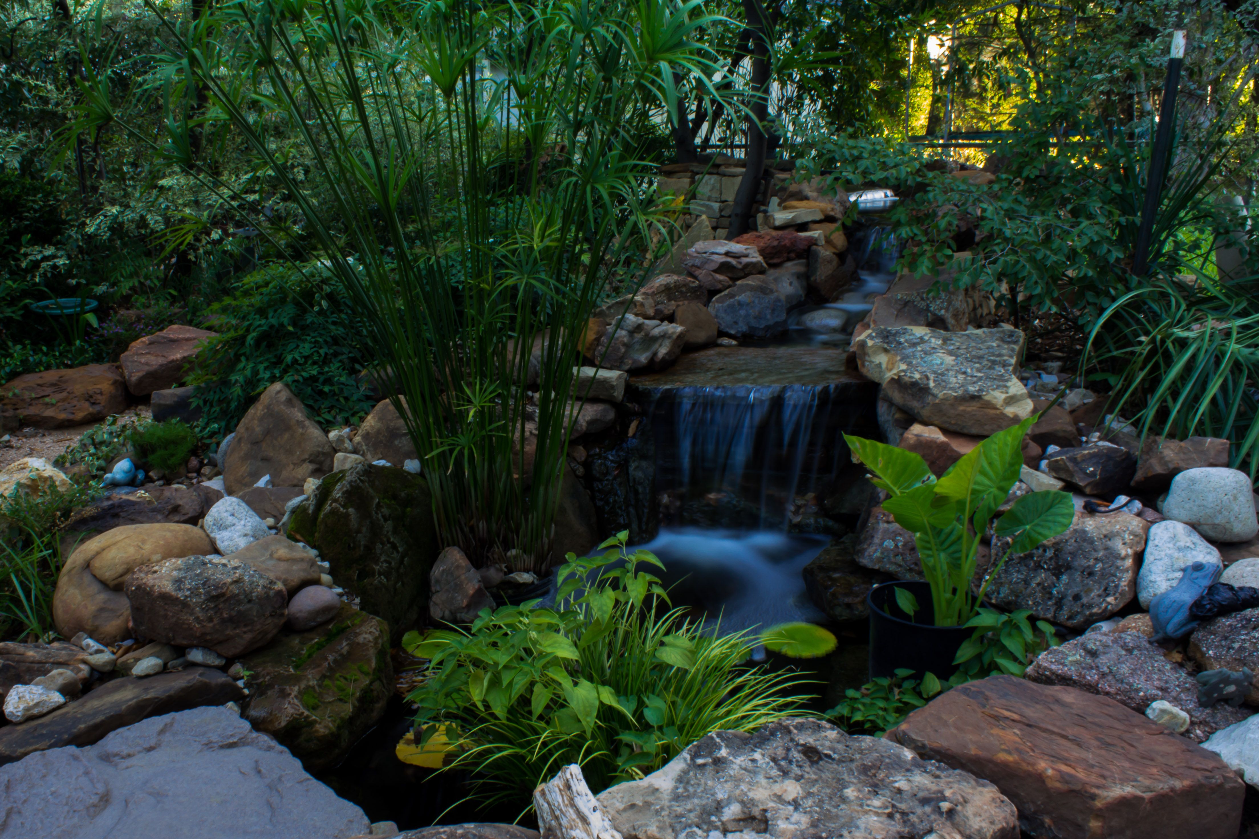 Water Garden Idea Shade Gardening