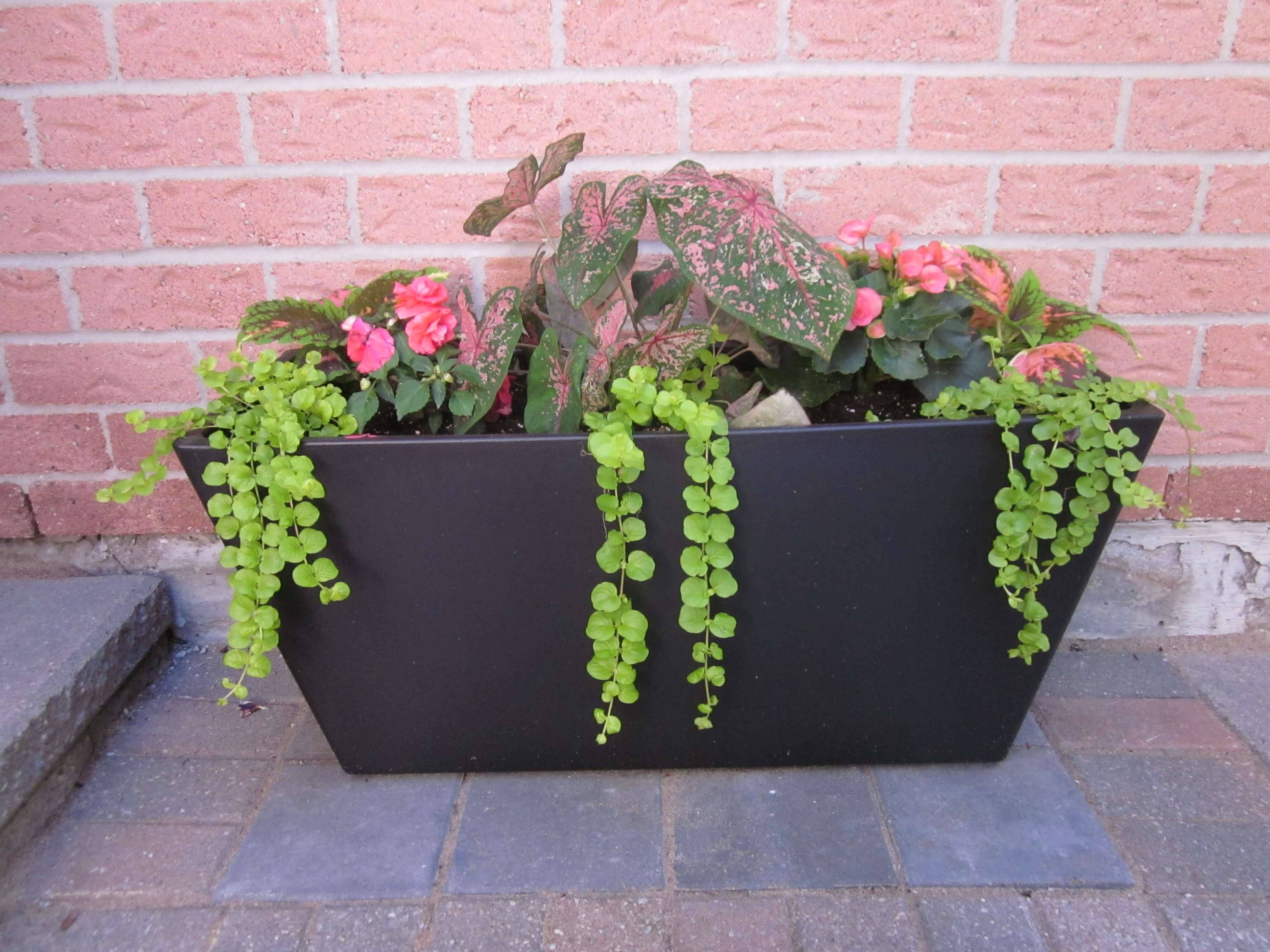 Diy Upcycled Container Gardening Planters Projects