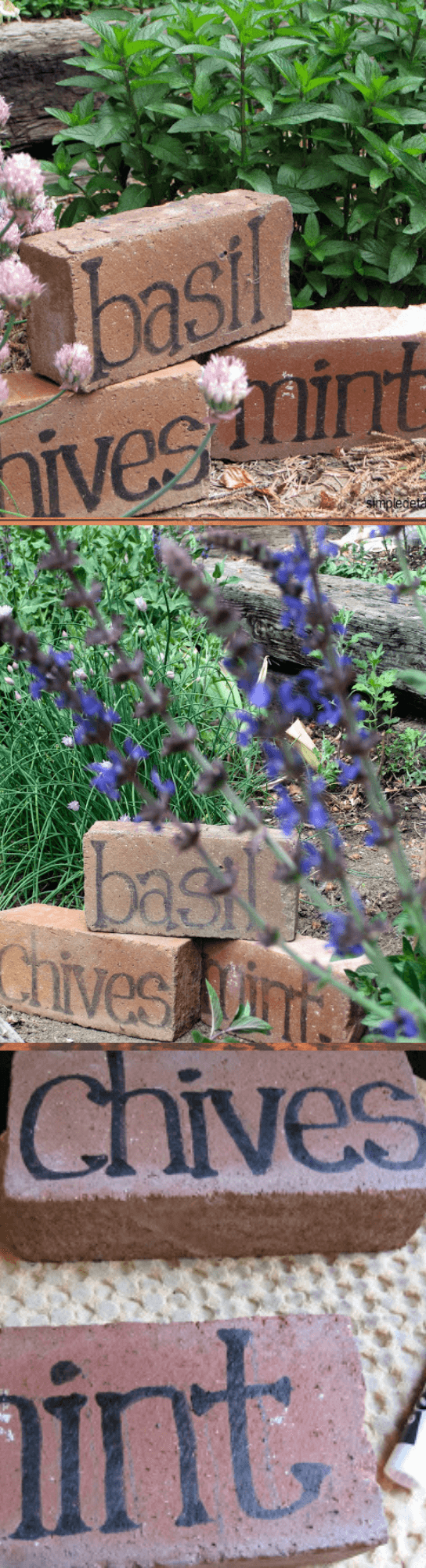 Creative Garden Edge Ideas