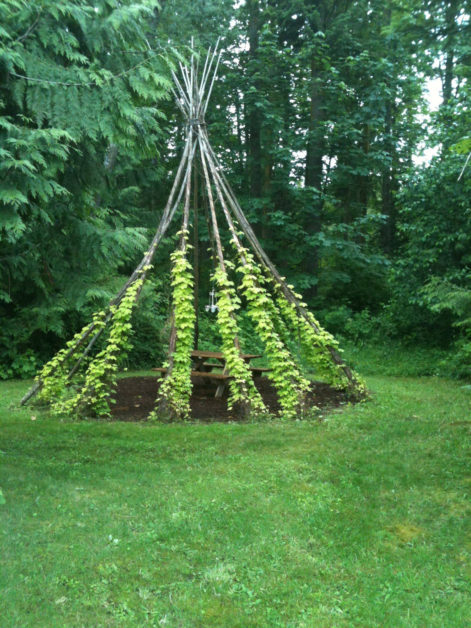 20 Garden TeePee Ideas To Try This Year SharonSable