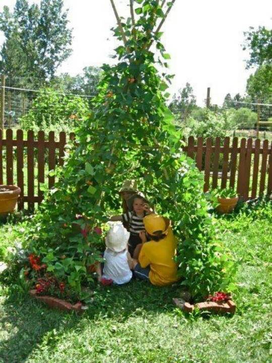 Cool Backyard Garden Ideas