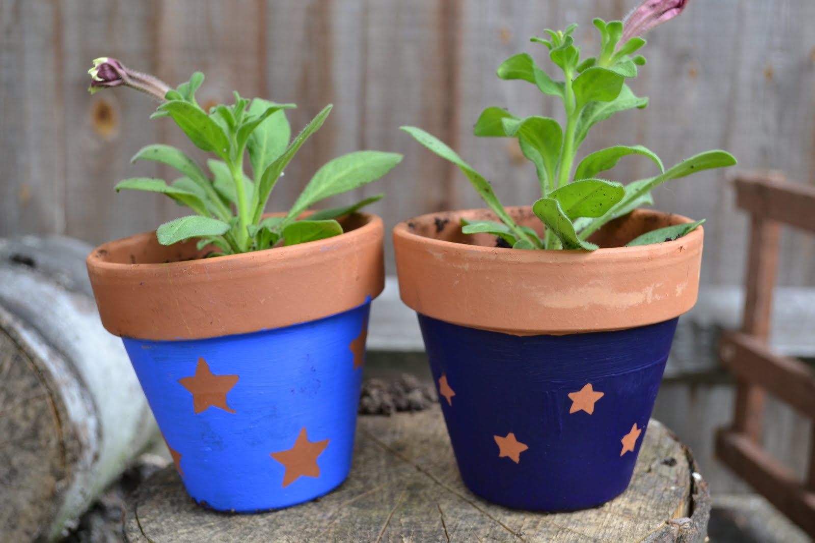 Unique Container Gardening Ideas Sensory Garden