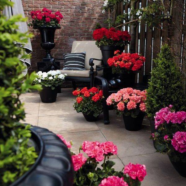 Amazing Diy Flower Arrangements