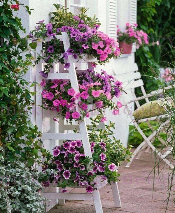 Fantastic Garden Arrangement Ideas