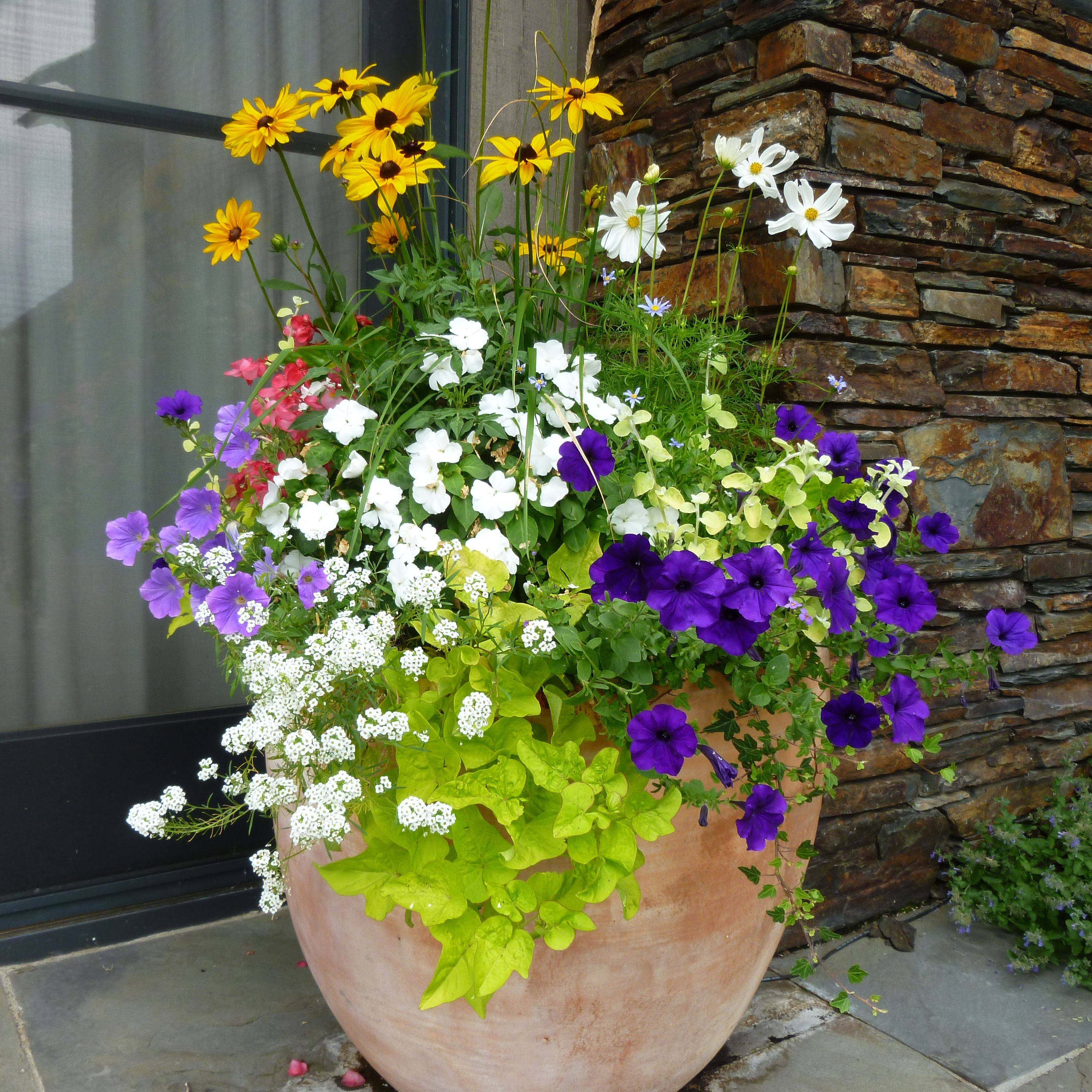 Fantastic Garden Arrangement Ideas
