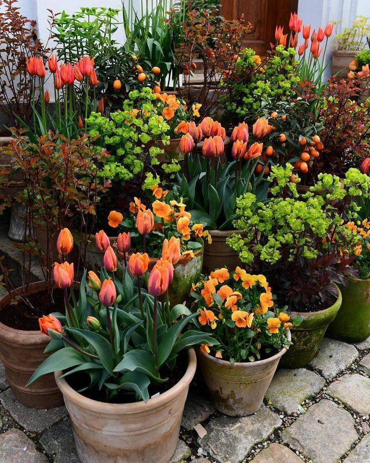 Fantastic Garden Arrangement Ideas