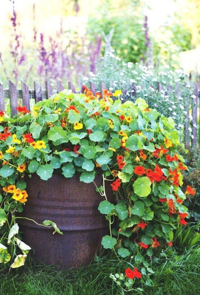 Fantastic Garden Arrangement Ideas